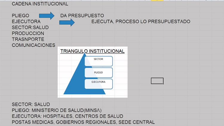 Módulo Presupuestal – Triángulo institucional