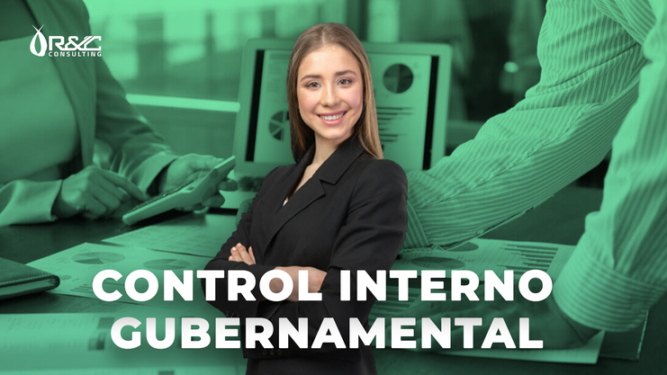 CONTROL INTERNO GUBERNAMENTAL2