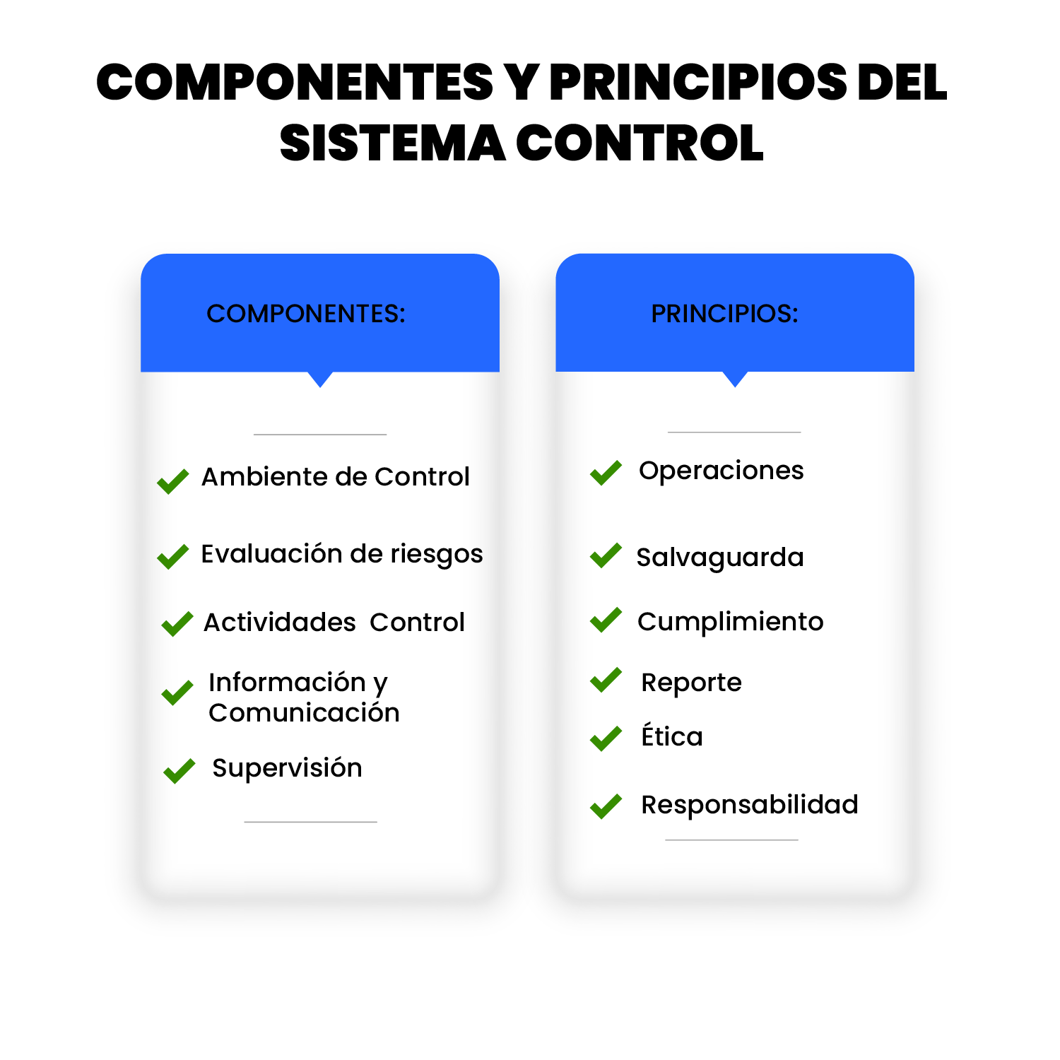 ¿QUÉ ES EL CONTROL INTERNO GUBERNAMENTAL?