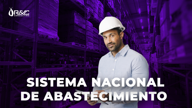 SISTEMA NACIONAL DE ABASTECIMIENTO 2