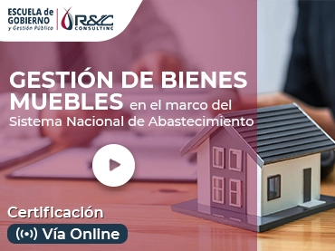 Gestión de Bienes Muebles (SNA)