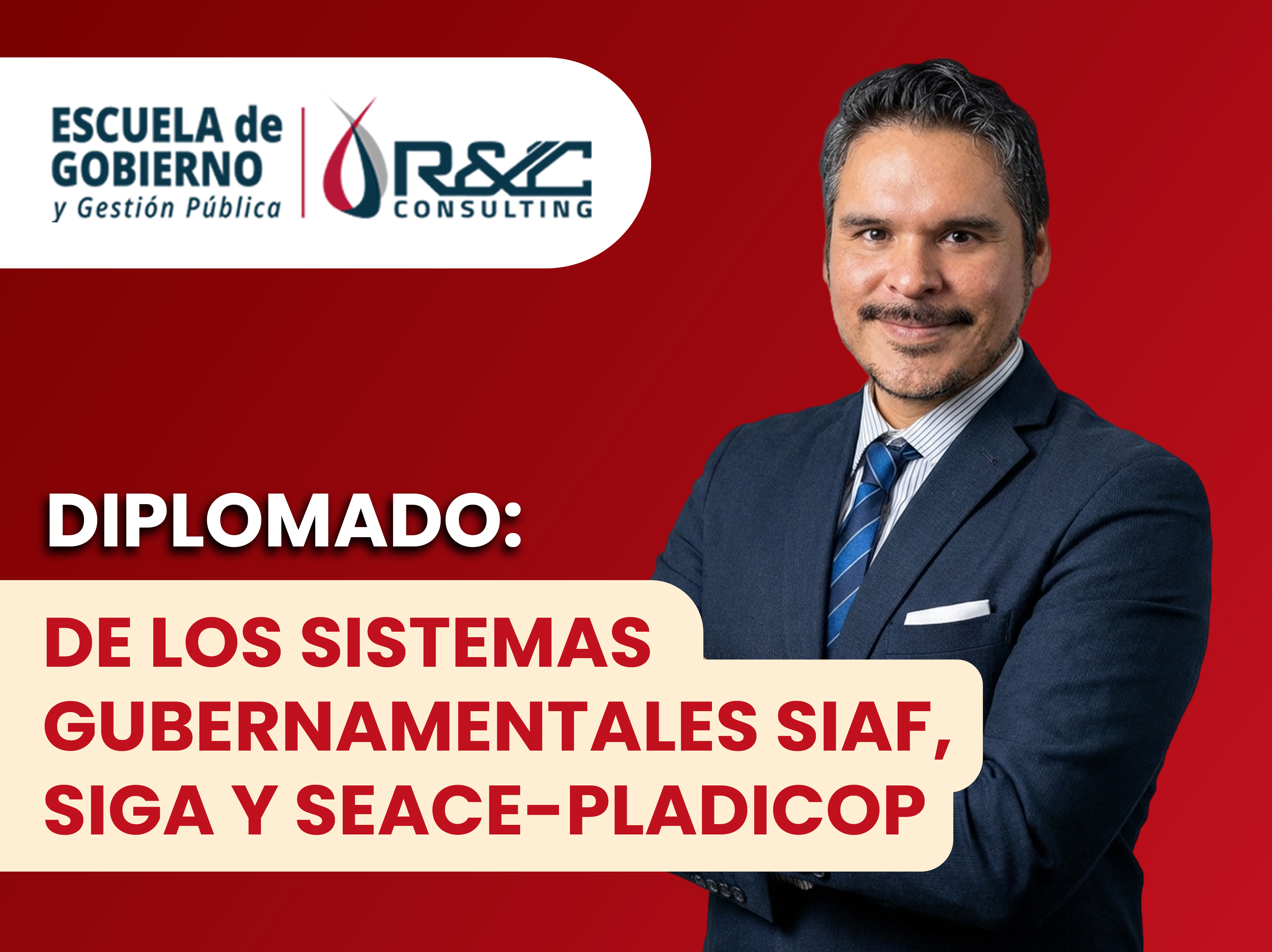 Curso Diplomado Sistemas Gubernamentales