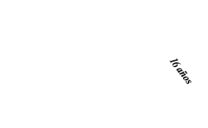 R&C Consulting