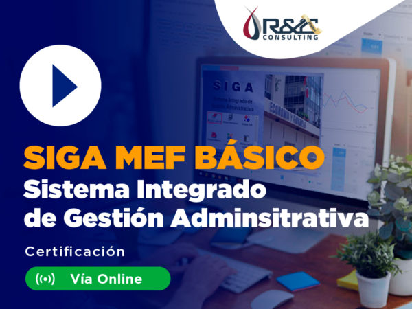 curso-online-siga-600x450